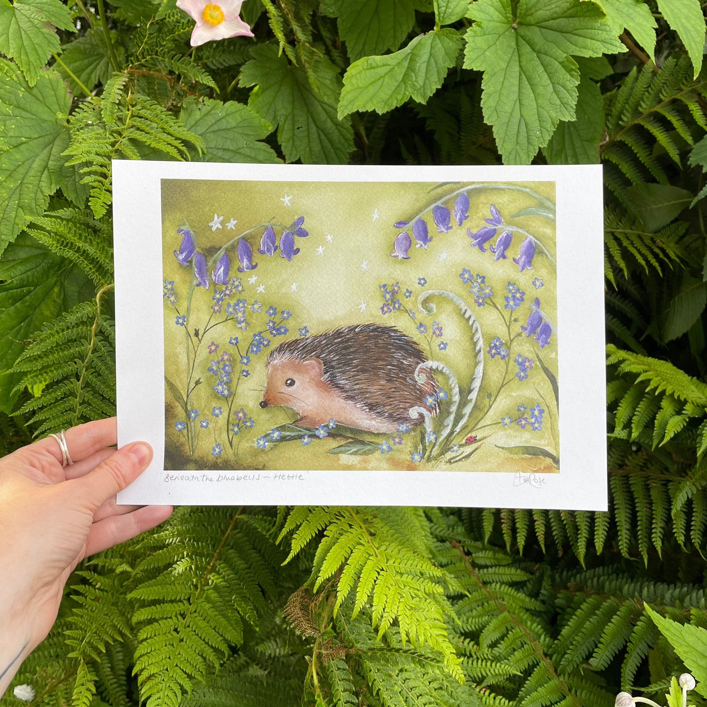 Beneath The Bluebells Fine Art Print | Hettie