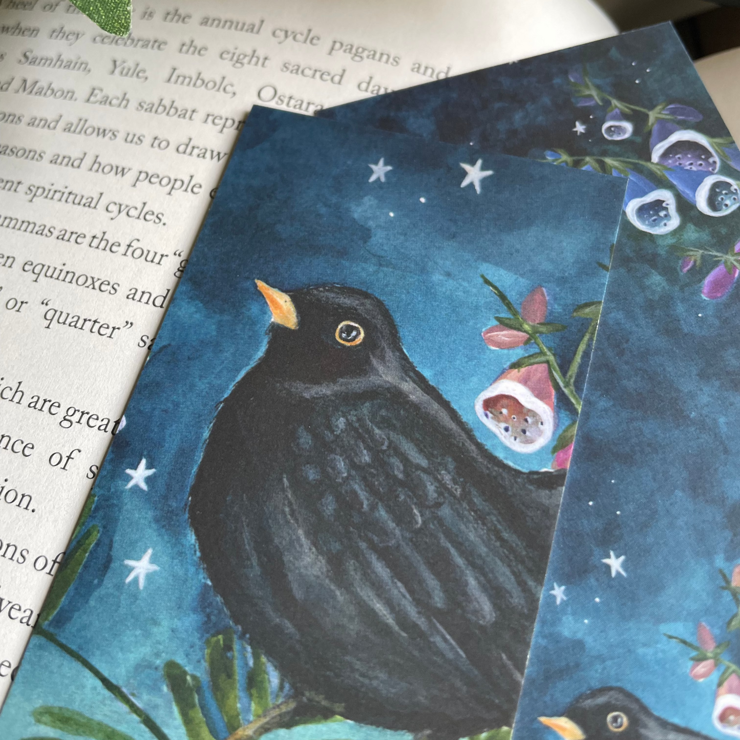 Blackbird Bookmark | Starry Skies