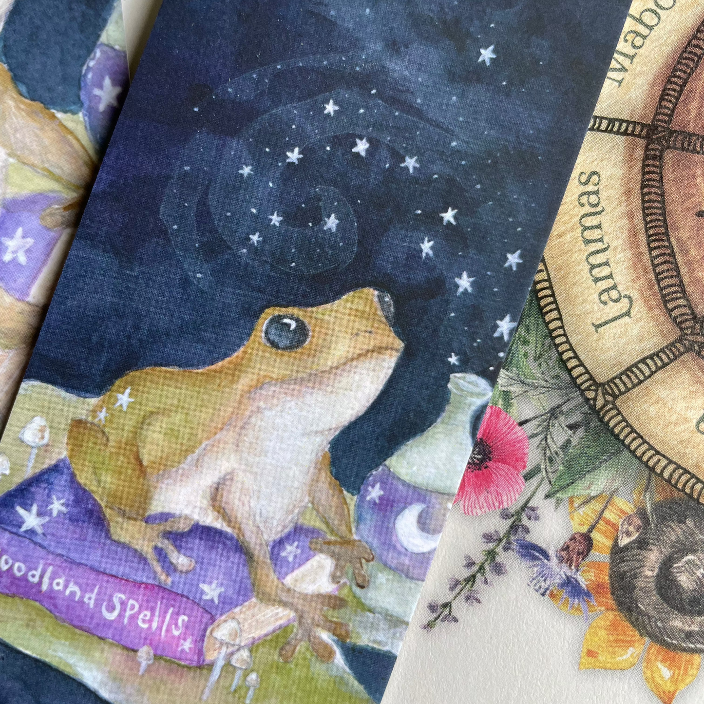 Frog Bookmark | Magic Spells