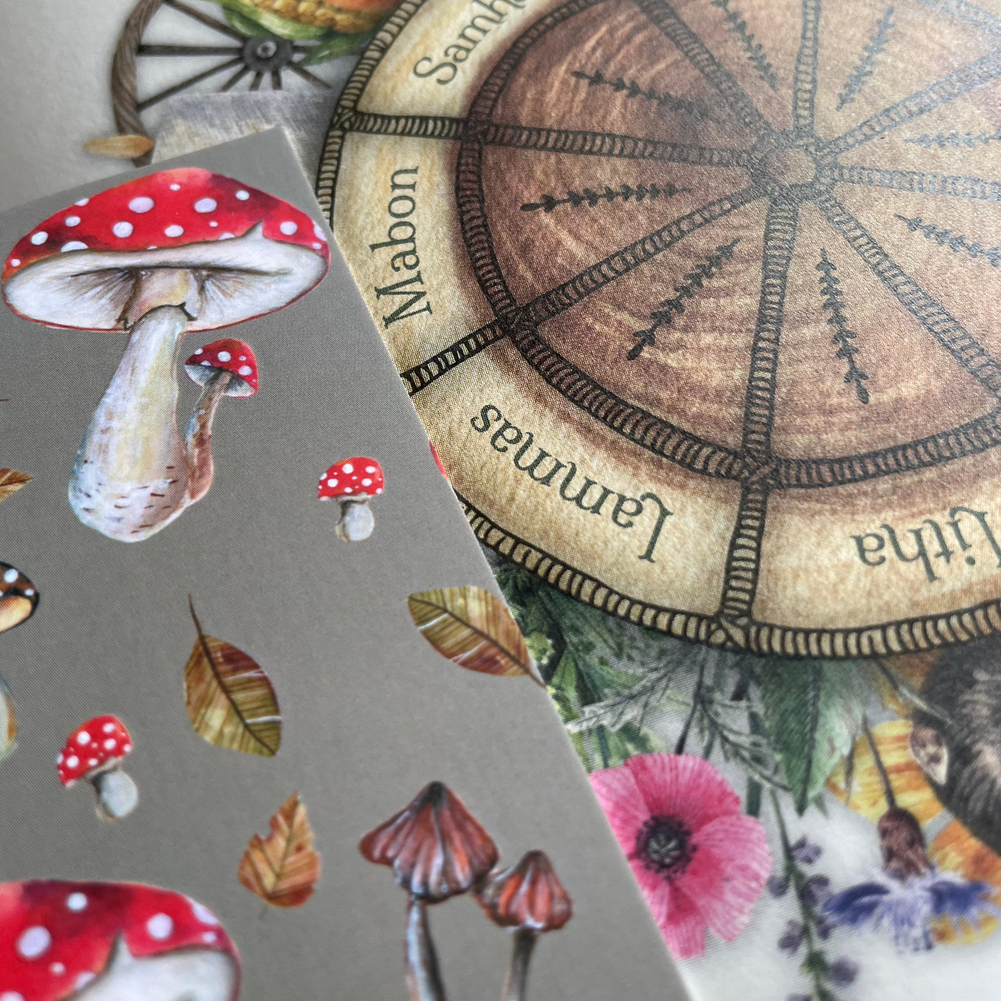 Toadstool Bookmark | Mushroom Forest