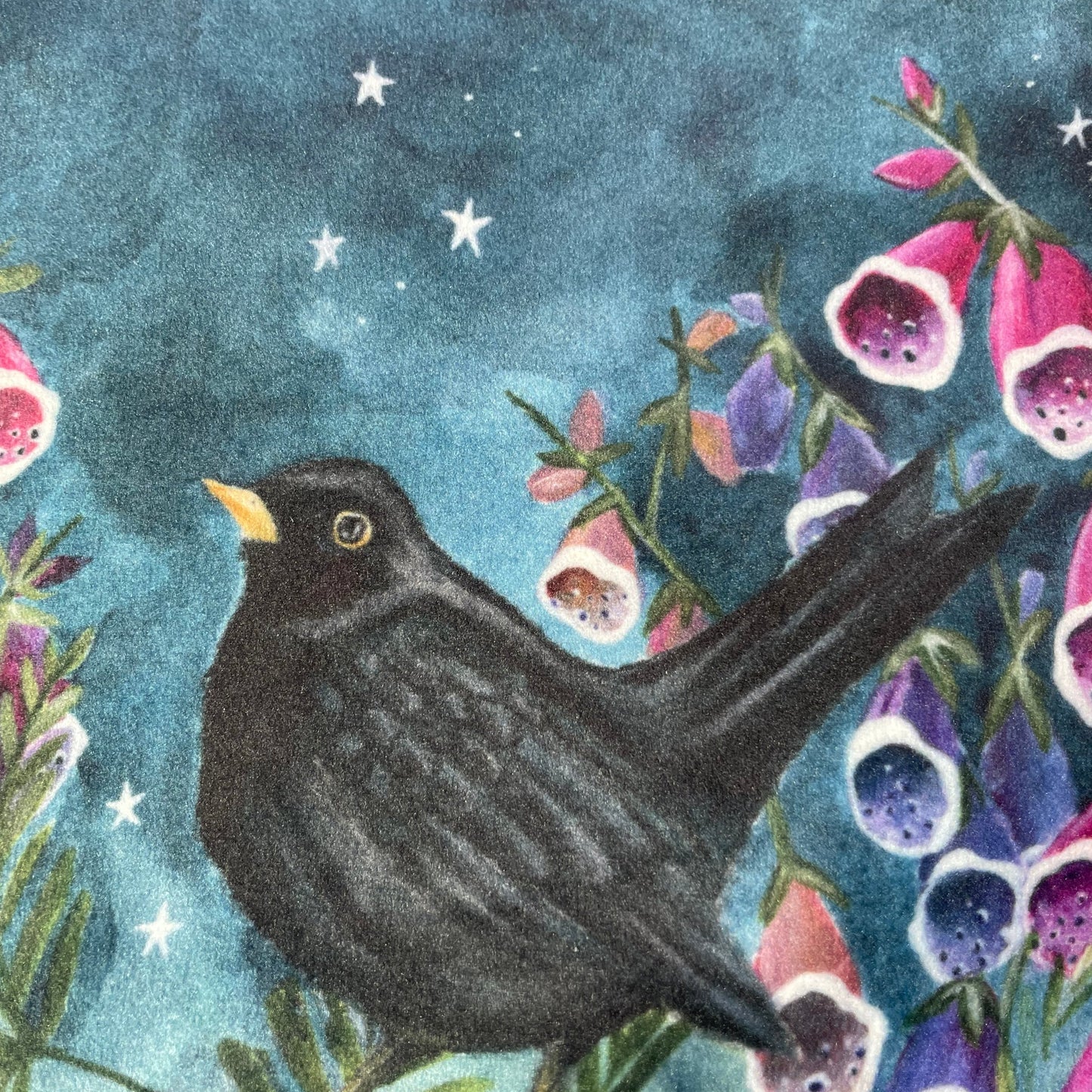 Starry Skies | Blackbird Watercolour Velvet Cosmetic Bag