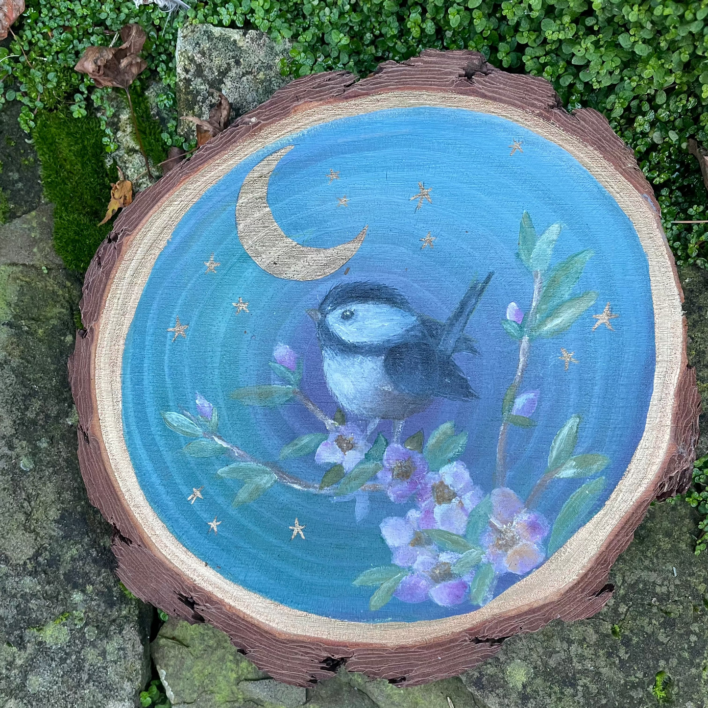 Original Woodslice Artwork | Coat tit | Sweatheart