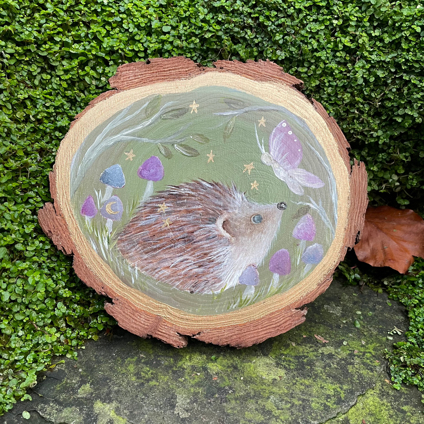 Original Woodslice Artwork | Hedgehog & Butterfly | Starry Meadow