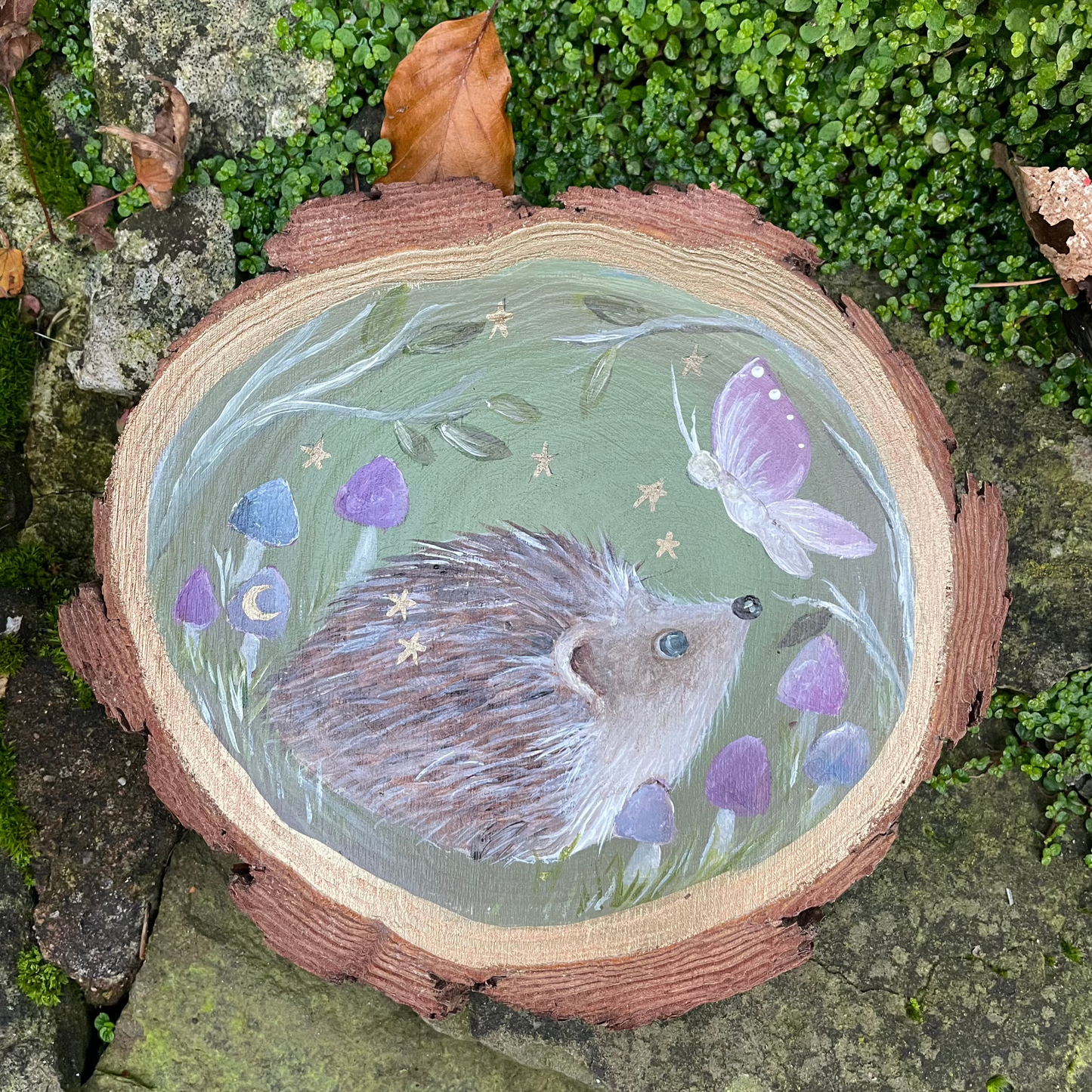 Original Woodslice Artwork | Hedgehog & Butterfly | Starry Meadow